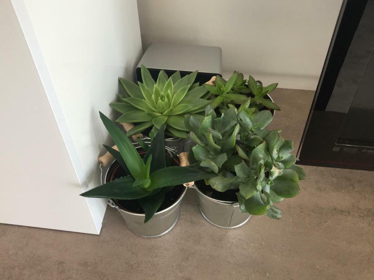 Stilvolles Appartement 吕登沙伊德 外观 照片